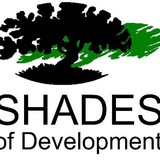 Shades of Development - Home Developers in Knoxville