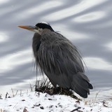 Dunbar Cave State Natural Area - Waste Removal Services & Management in Clarksville