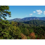 Affordable Cabins in the Smokies - Other in Pigeon Forge