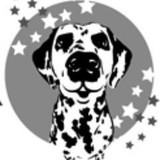 Barkstrom - Your Pet's Concierge - Pet Services in Nashville