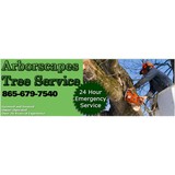 Arborscapes tree service - Tree Services in Maryville