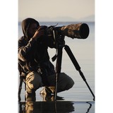 Bearhead Photography - Other in Tullahoma