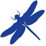 Dragonfly Screen Graphics Inc - Screen Printing in Nashville