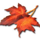 Agriscapes LLC - Landscaping in Collierville