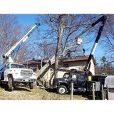 Ever Green - Tree Services in Knoxville