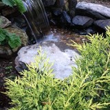 Jvi Water Garden - Landscaping in Nashville