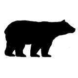 Black Bear Tea - Other in Gatlinburg
