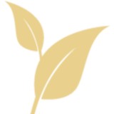 BetterYou - Other in Hendersonville