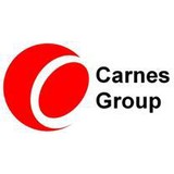Carnes Group - Software Development in Franklin