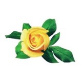 Marvin Windows & Doors - Other in Ripley