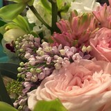 Tusculum Antioch Florist - Florists in Nashville