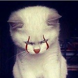 Keith Hnilica - Other in Louisville