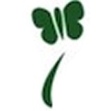 Hospice-the Highland Rim - Other in Tullahoma