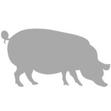 Shuford's Smokehouse - Restaurants in Chattanooga