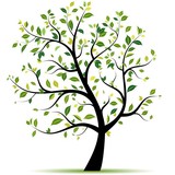 Blake's Tree Service - Tree Services in Chattanooga