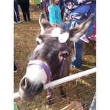 Molly Jo Collins - Other in Erin