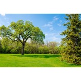 Christian's Lawn & Home Services, Nashville, TN - Lawn Services in Nashville