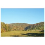 Fall Creek Falls Scooters - Other in Pikeville