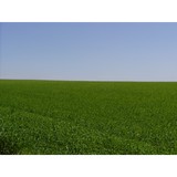 Utah Landscape & Design - Landscaping in Provo
