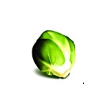 Sprout Marketing LLC - Business Consulting in Salt Lake City
