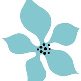 Shepaisy LLC - Other in Eagle Mountain