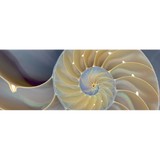Clarity Coaching Institute - Business Consulting in Salt Lake City