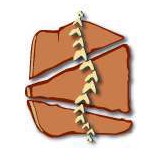 Coral Canyon Chiropractic - Chiropractors in Washington
