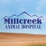 Millcreek Animal Hospital - Veterinarians/Vets in Ogden