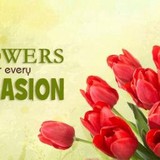 Sending Flowers Fast - Florists in Salt Lake City