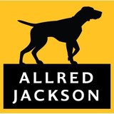 Peterson Allred Jackson Pc - Financial Consultants in American Fork