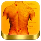 OPTI-STRETCH VERSUS Recurrent Back Pain - Other in Centerville