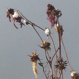 Spring Glen Studio - Other in Helper