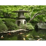 Acupuncture of Salt Lake City - Food & Related Products in Salt Lake City