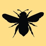 Mind UR Bees Wax Salon and Spa - Other in Heber City