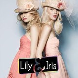 Lily & Iris - Bridal & Wedding in Salt Lake City
