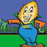 Cornbellys Cornmaze - Other in Spanish Fork