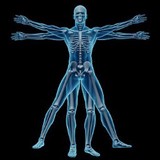 Pleasant Grove Sports - Chiropractors in Pleasant Grove