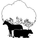 Aspen Grove Veterinary Clinic - Veterinarians/Vets in Ogden