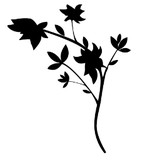 Forage - Restaurants in Salt Lake City