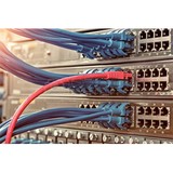 Tri Tel Networks - Business Consulting in Salt Lake City