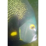 Bonneville Seabase - Other in Grantsville