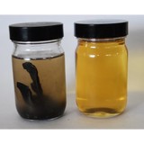 Western Oil Filtration LLC - Other in South Jordan