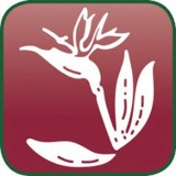 Jimmy's Flower Shop Inc - Other in Layton