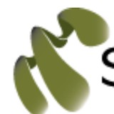 Skin Seven - Other in American Fork
