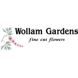 Wollam Gardens - Other in Jeffersonton