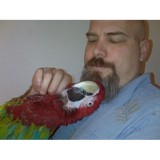 CADOperators.com, LLC - Other in Hayesville