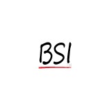 Bithop Systems, Inc - Business Consulting in Springfield