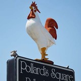 Pollard's Chicken - Chicken in Norfolk