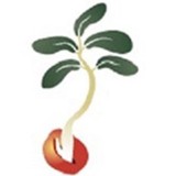 Beantree Learning - Child Care & Day Care in Ashburn