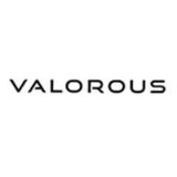 Valorous Inc - Business Consulting in Sterling